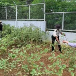 Sejumlah pegawai bersama peserta magang tampak antusias mengikuti kegiatan panen terong dan kangkung yang digelar di area ketahanan pangan milik rutan