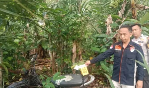 Personil kepolisian Polres OKU Selatan saat proses penyidikan kematian seorang pria di kawasan perkebunan kopi Desa Kota Aman, Kecamatan Buay Runjung, Kabupaten OKU Selatan