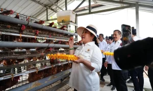 Ketua Komisi IV DPR RI, Siti Hediati Hariyadi atau Titiek Soeharto saat melakukan kunker ke Nusakambangan