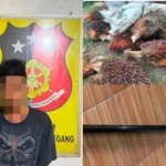 pemuda berinisial J (27) diamankan di polsek Gunung Megang