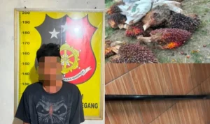 pemuda berinisial J (27) diamankan di polsek Gunung Megang