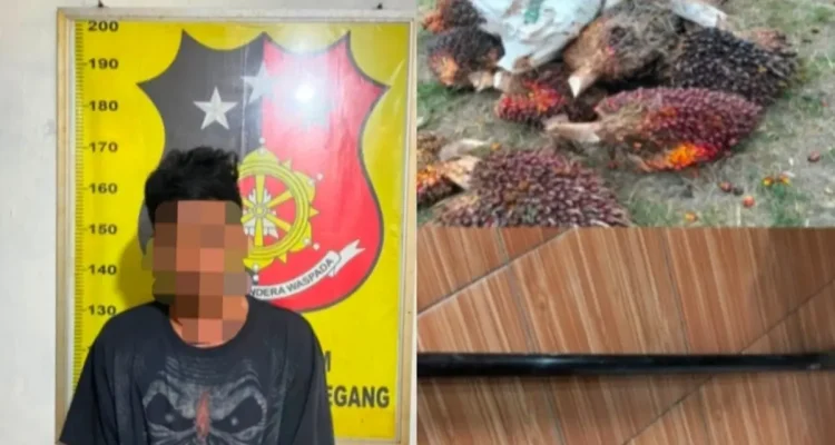 pemuda berinisial J (27) diamankan di polsek Gunung Megang