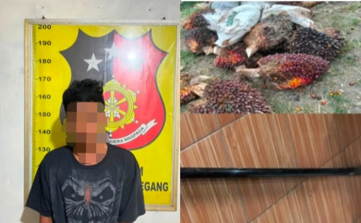 pemuda berinisial J (27) diamankan di polsek Gunung Megang