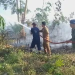 Petugas damkar, staf kecamatan, dan warga berjibaku saat padamkan api