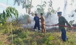 Petugas damkar, staf kecamatan, dan warga berjibaku saat padamkan api Petugas damkar, staf kecamatan, dan warga berjibaku saat padamkan api