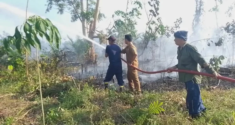 Petugas damkar, staf kecamatan, dan warga berjibaku saat padamkan api
